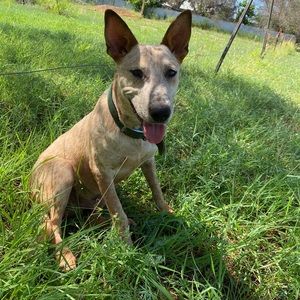 Meet your Posher, Kelly